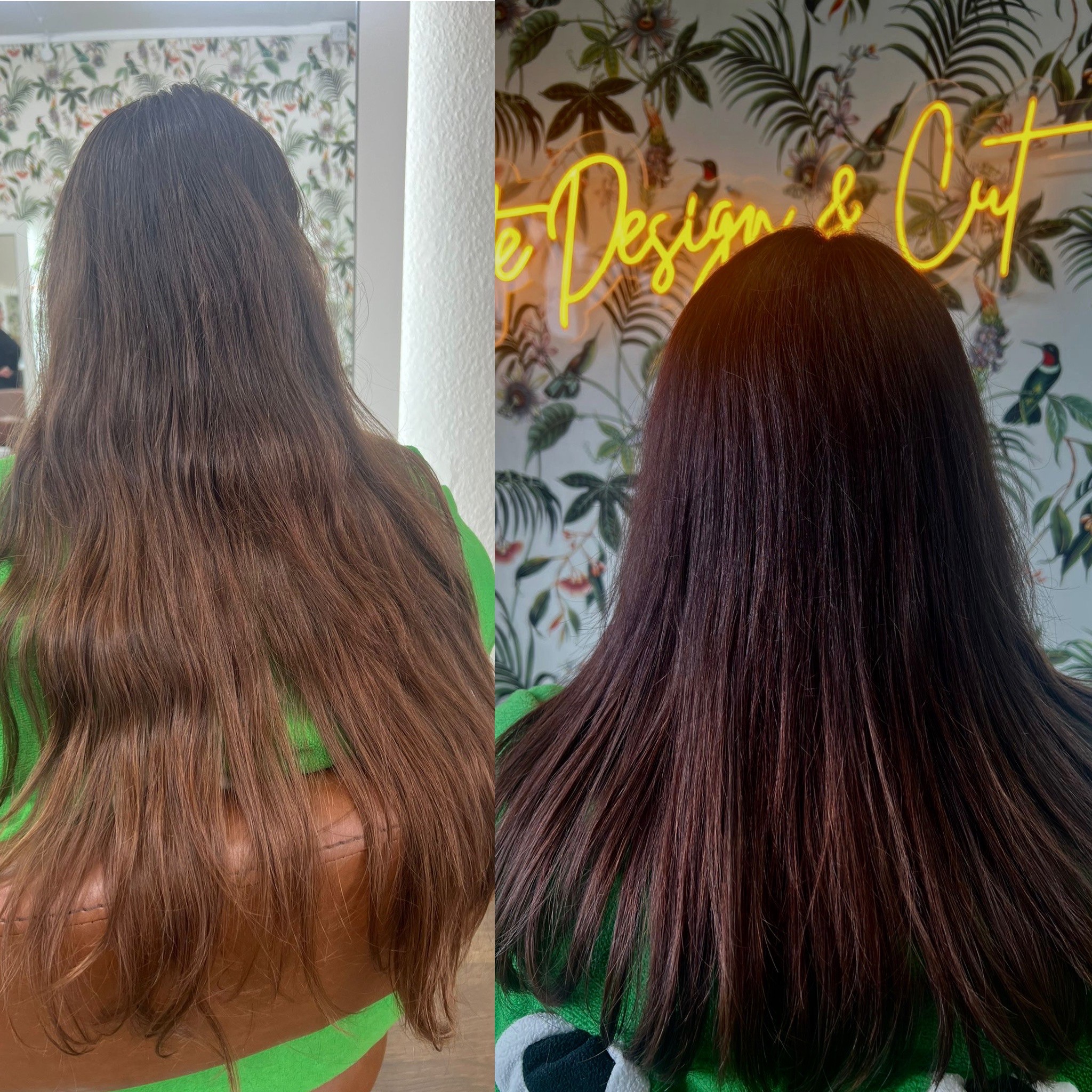 Plum hair colour and cut